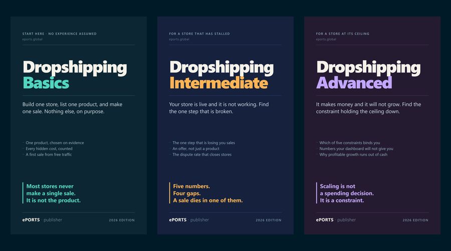 The Dropshipping 3-book set